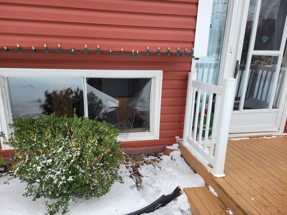 The deer appeared to have cut itself on its way in, but the Department of Natural Resources said it had minimal injuries.