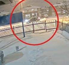 Police are seeking to locate a vehicle and its driver after a pedestrian was struck by a vehicle in Toronto.