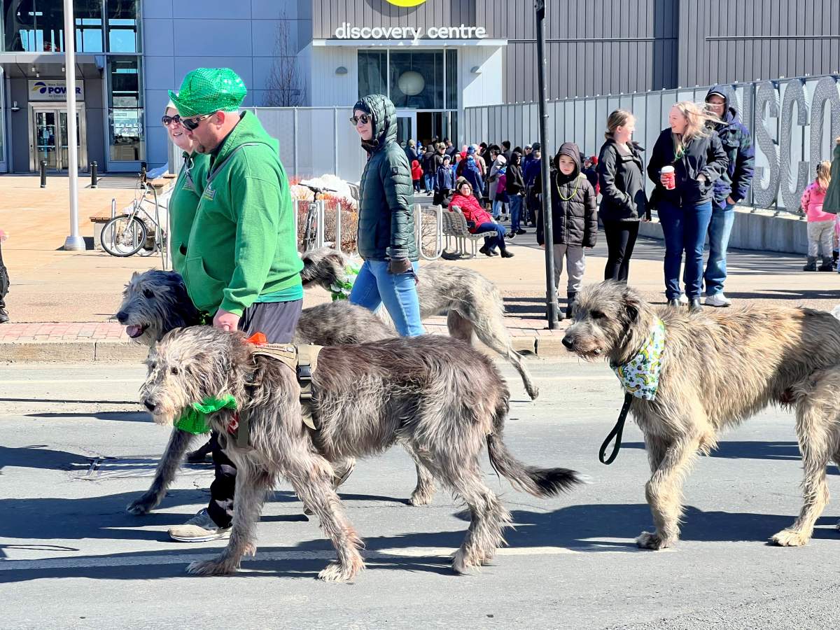 People feeling lucky as Halifax St. Patrick’s Day parade returns - image