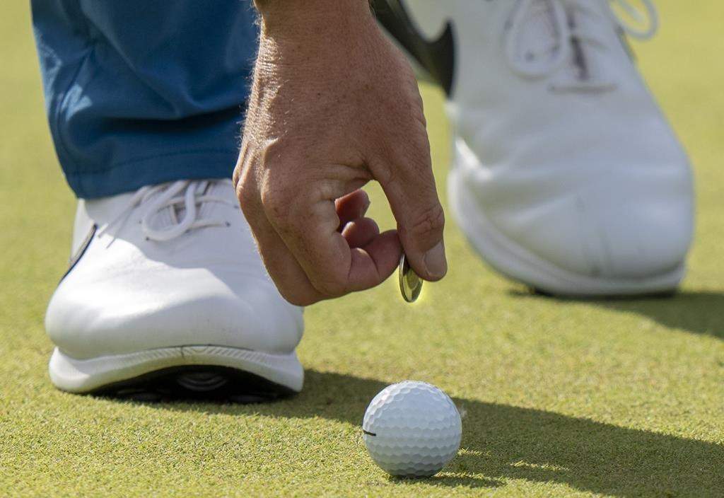 A report commissioned by Winnipeg is recommending repurposing 30 per cent of city-owned golf courses.