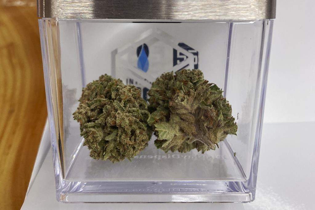 Cannabis is displayed at a store in Rutland, Vt., Thursday, Sept. 29, 2022.