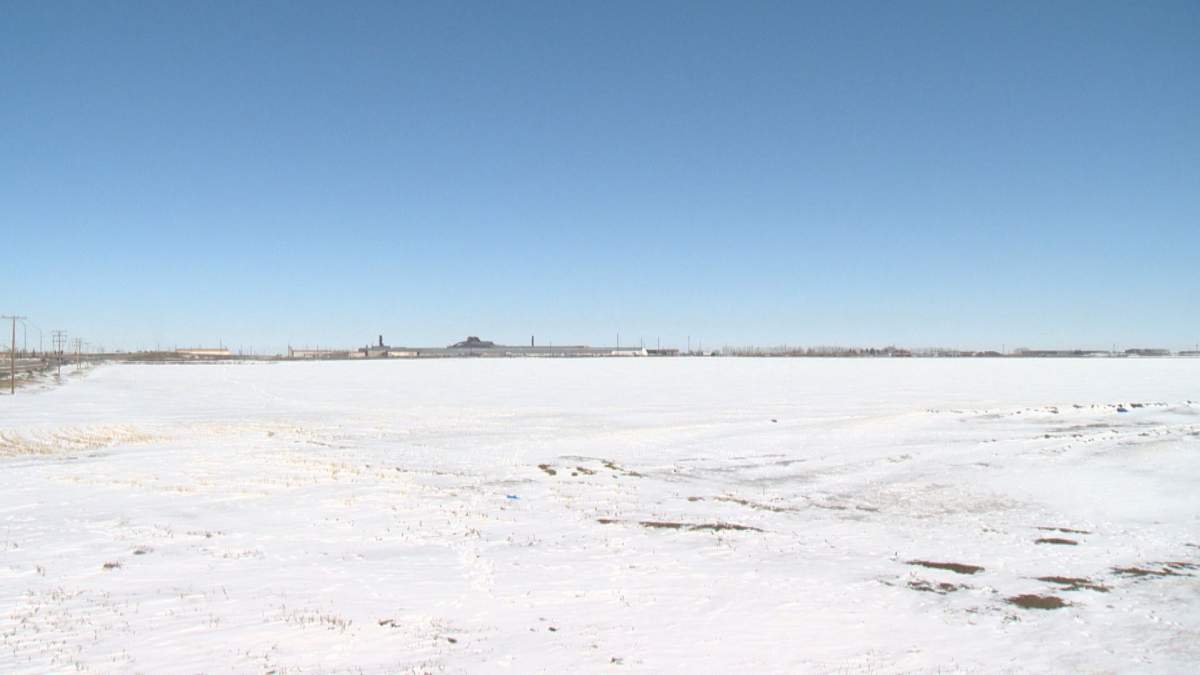 Regina City Council voted unanimously to grant Cowessess First Nation with the option to purchase city land in north Regina's Hawkstone neighbourhood.