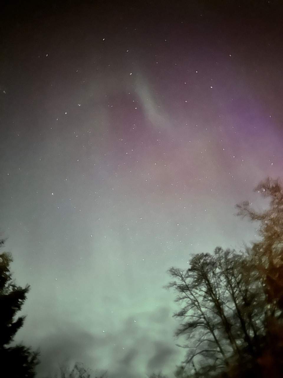 The geomagnetic storm seen from Haida Gwaii