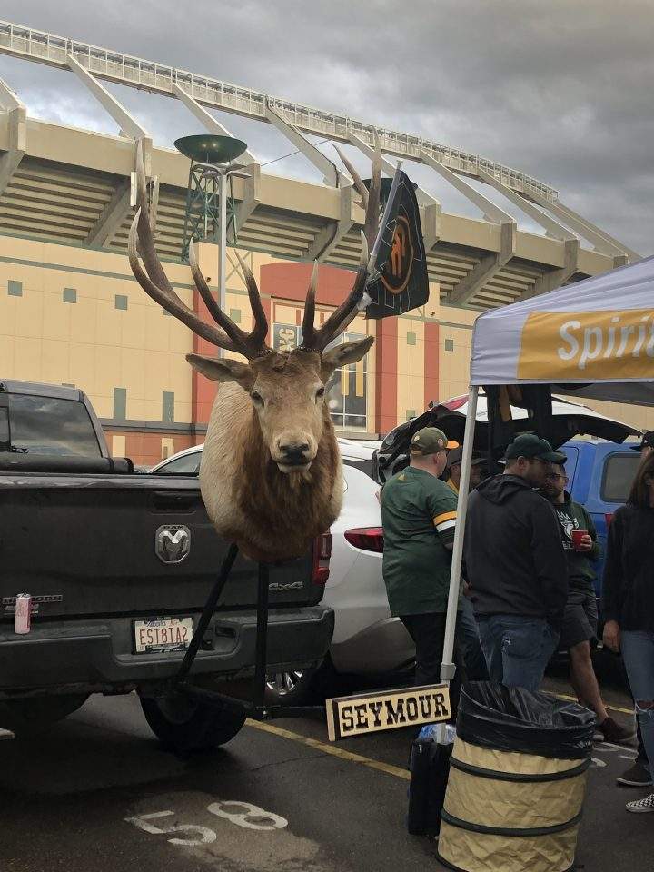 Seymour the elk at a tailgate party at Commonwealth Stadium.