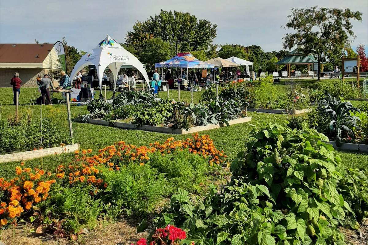 Lampman Park Community Garden in Barrie, Ont.