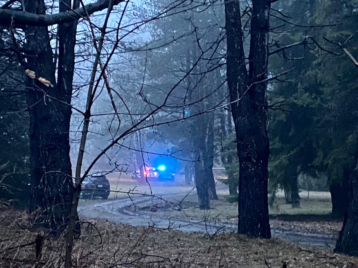 Police say a person is dead after a tree fell in Markham, Ont.