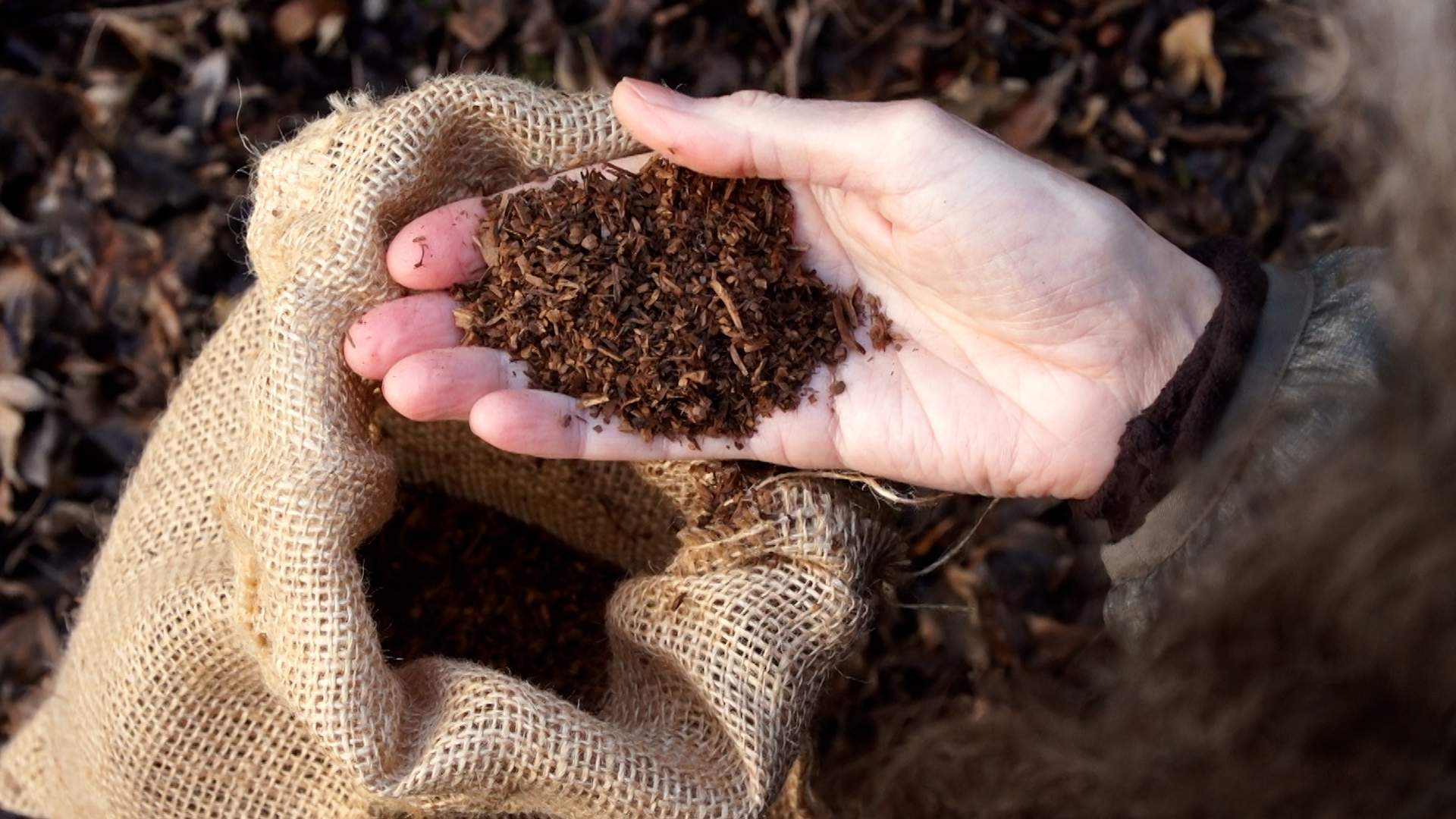 A Montreal company is doing its part to take Montreal's waste collection to a new level collecting pet waste for composting. Workers behind the initiative say the move is long overdue since it is one more way to fight climate change. 