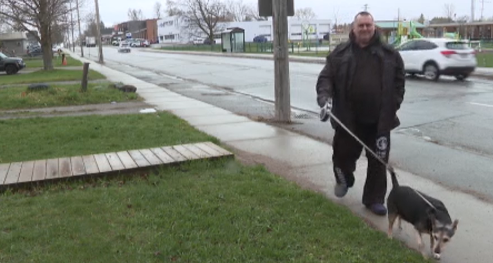 Kemp Oake and his dog Jack located a raccoon along Lindsay St. Street.