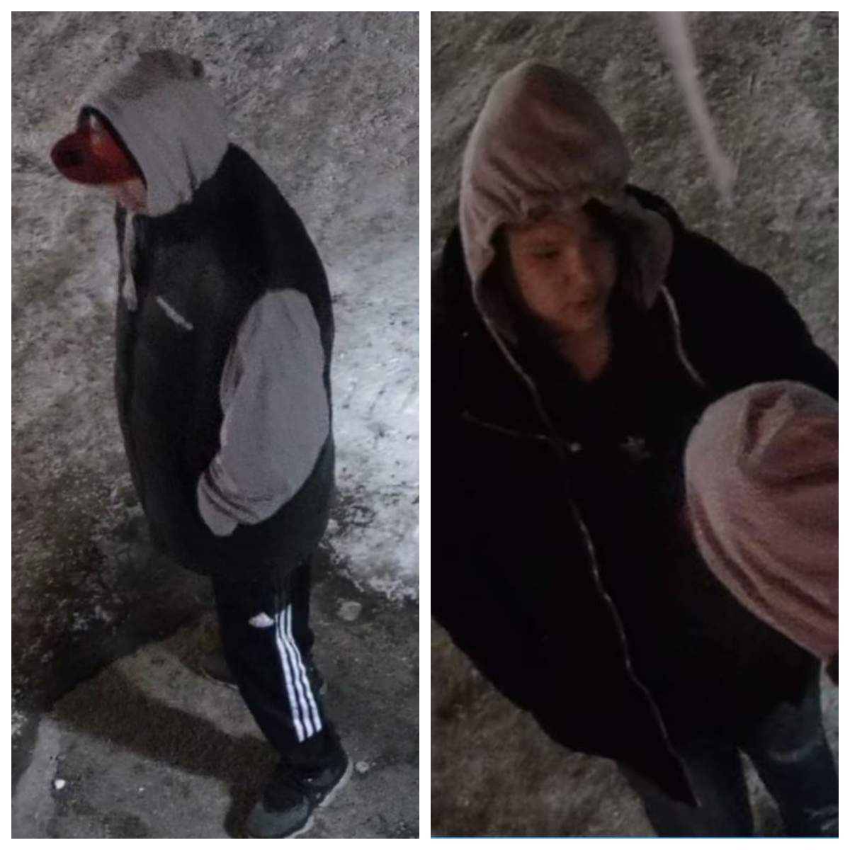 Thompson RCMP seek more information about these two people.