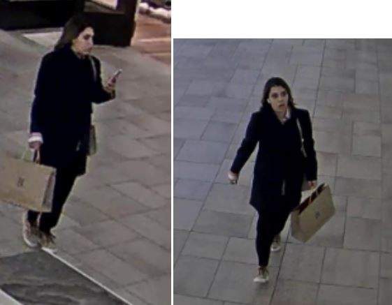 2 suspects steal $19K worth of products from Toronto store as another keeps watch: police - image