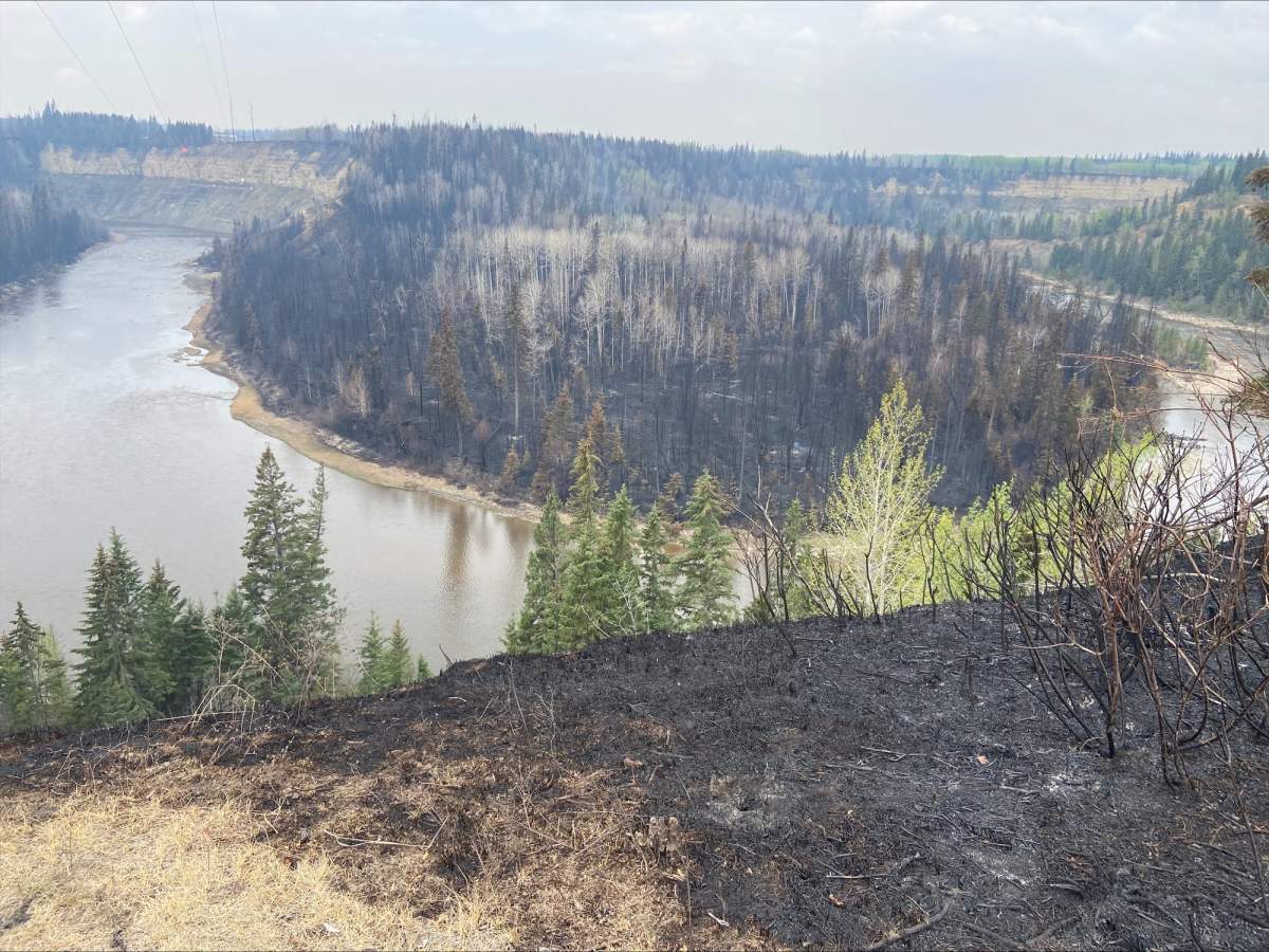 Fire damage seen around the Pembina River in Parkland County near Entwistle, Alta., May 9, 2023.