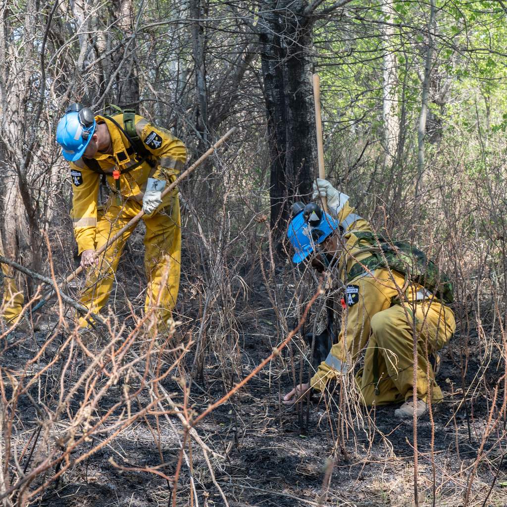 Members of the 3rd Battalion, Princess Patricia’s Canadian Light Infantry, participate in fire prevention operations in Grande Prairie, Alberta in support of Operation LENTUS 23-01 on May 11, 2023.