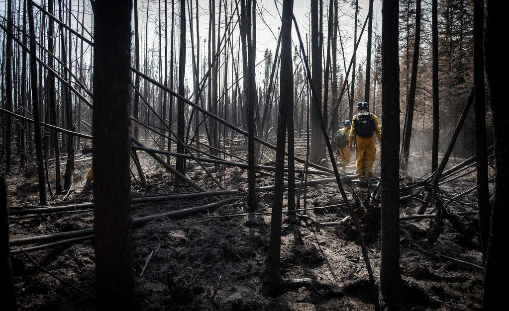 Two members of the Canadian Armed Forces walking through a burnt forest in Alberta
