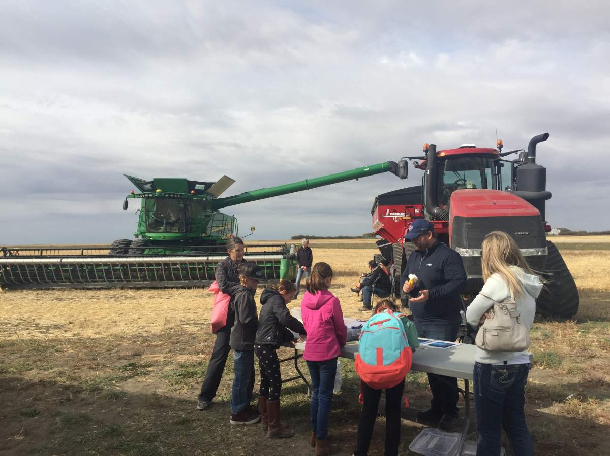 Students in Saskatchewan learn about agriculture in the classrooms - image