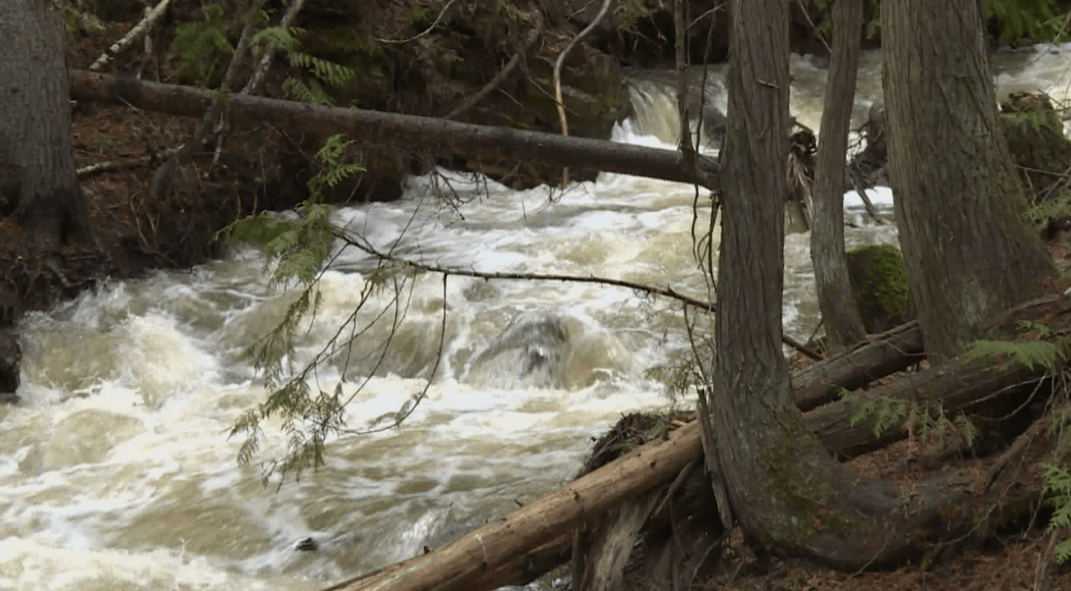 BX Creek near Vernon, B.C.