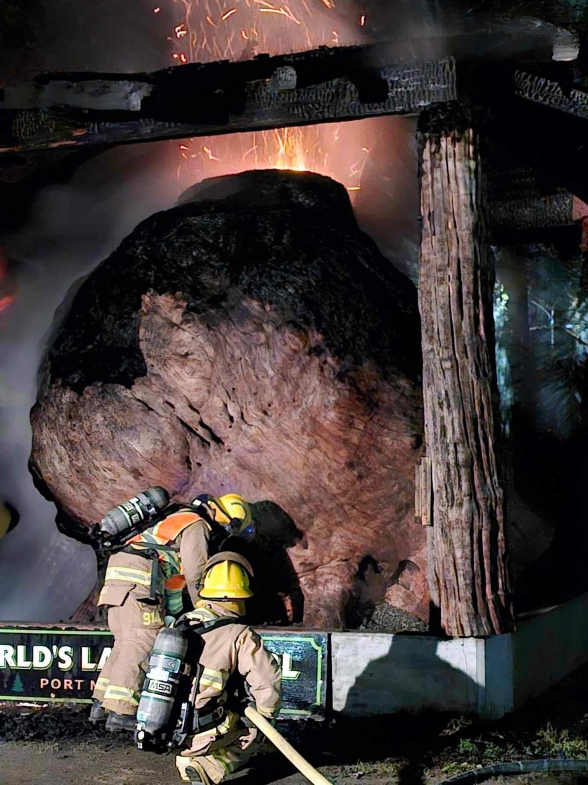 The burl was badly damaged in the fire that police believe was set deliberately.