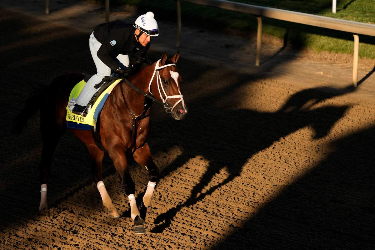 Kentucky Derby hopeful Verifying works out at Churchill Downs Wednesday, May 3, 2023, in Louisville, Ky. The 149th running of the Kentucky Derby is scheduled for Saturday, May 6.