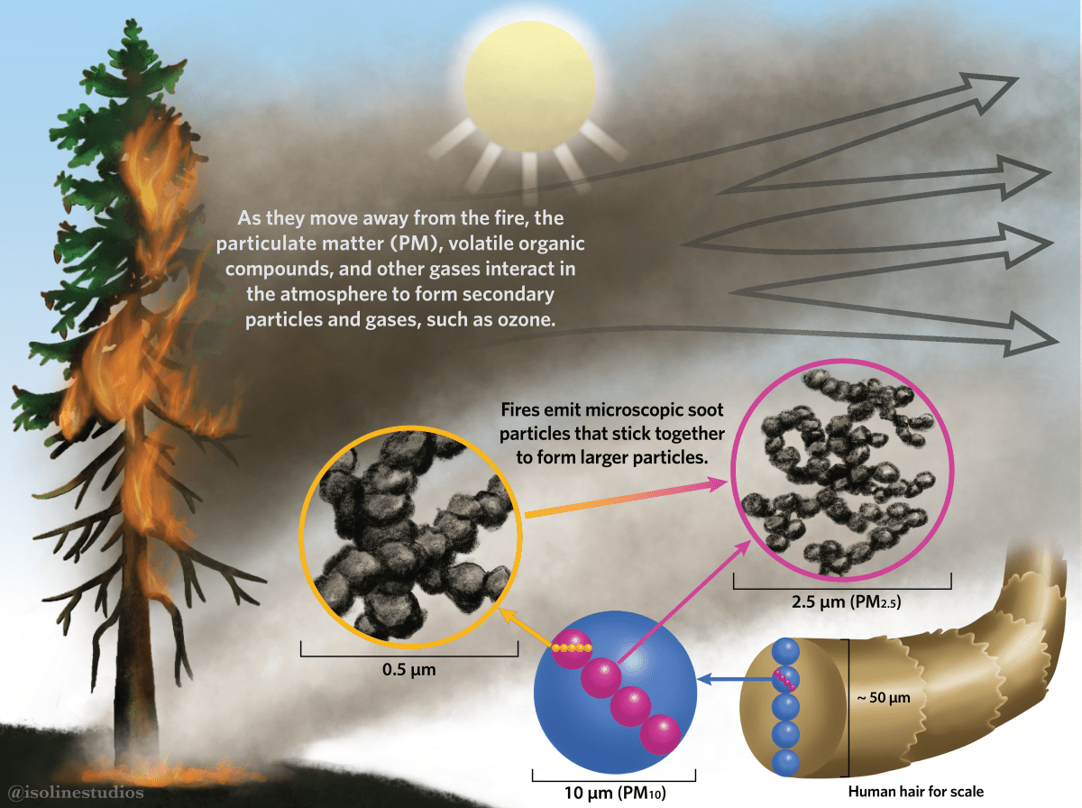 Composition of wildfire smoke - particulate matter PM2.5