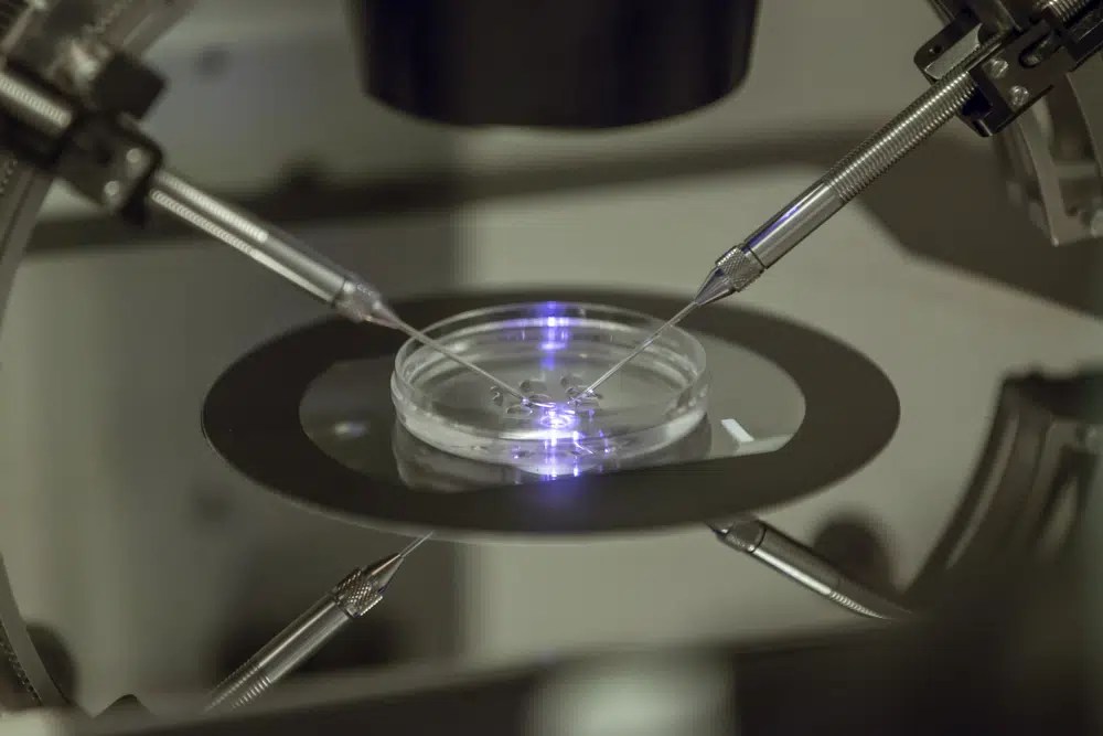 An embryologist works on a petri dish at the Create Health fertility clinic in south London, Thursday, Aug. 14, 2013. Britain's fertility regulator said the first babies created using an experimental technique combining DNA from three people have been born, in an effort to prevent the children from inheriting rare genetic diseases.