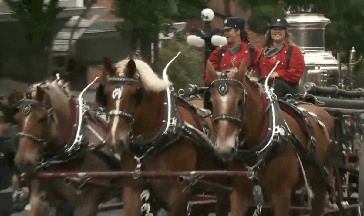 A team of horses kicks off the festivities at the 123rd Victoria Day Parade May 22, 2023.