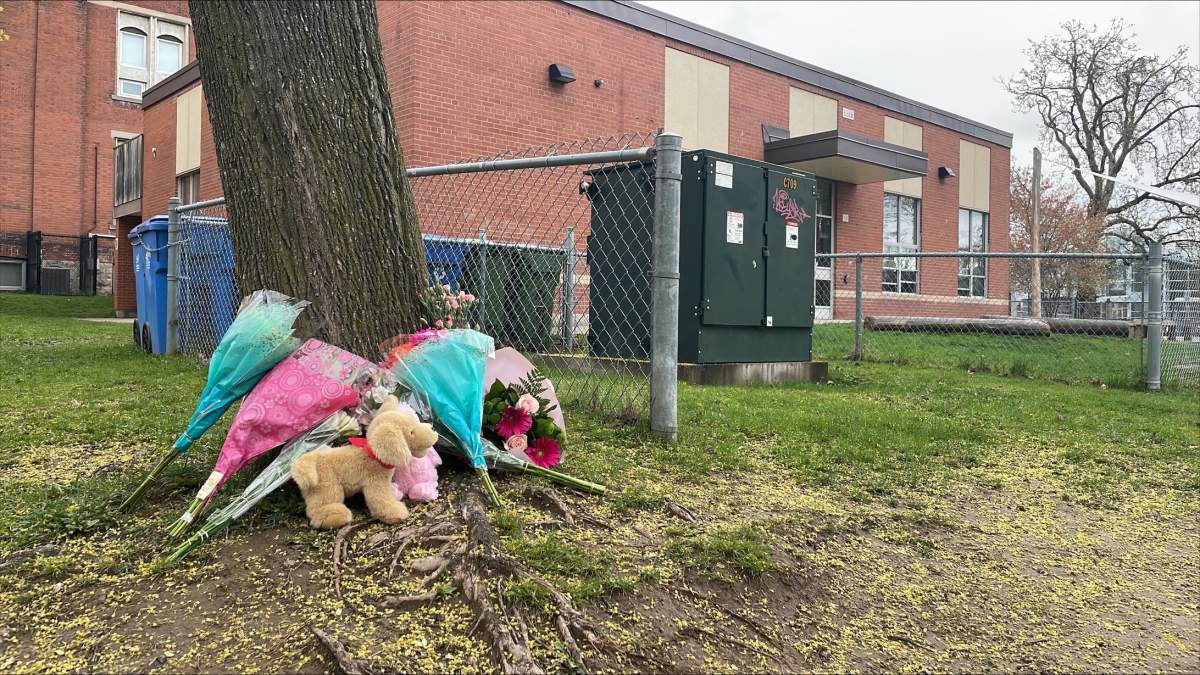 Flowers laid by a tree at Central Public School and Burlington Central Secondary School, two schools that share a driveway where a young girl was killed in a hit-and-run.