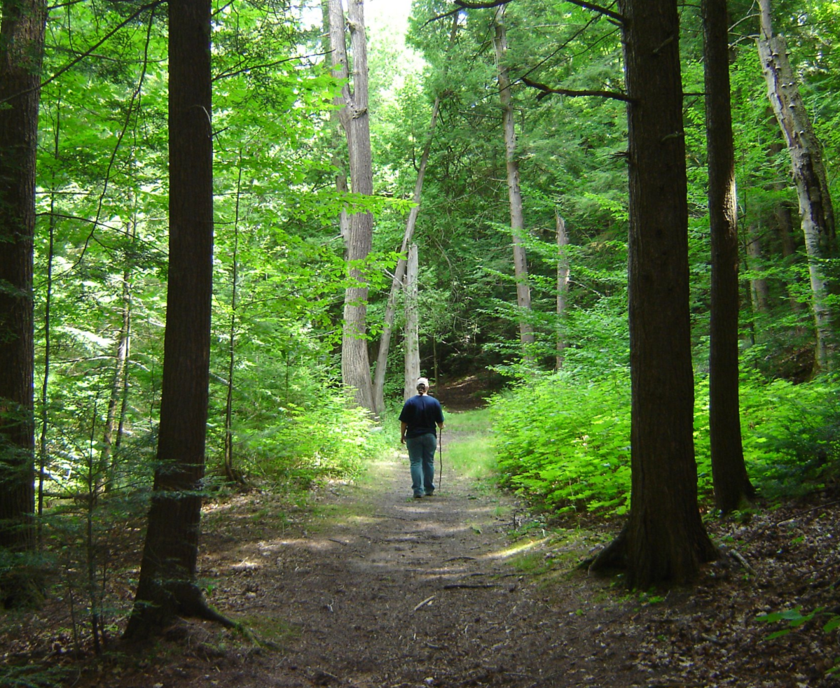 The Ganaraska Forest reopened on May 1, 2023, for users with a pass following a devastating windstorm nearly a year ago.