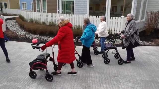 A group of Villagers out for a walk