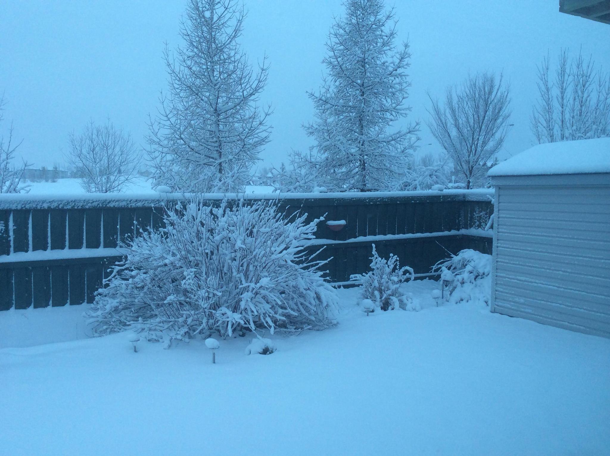 A photo posted on Facebook by the wife of Ahmad Alyafi shows their backyard in Edmonton.