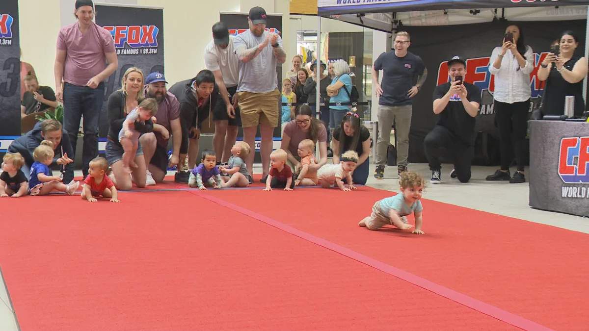 baby race cfox