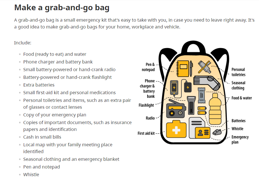 Grab-and-go: How to prepare for evacuation as B.C. fire and flood risk grows - image