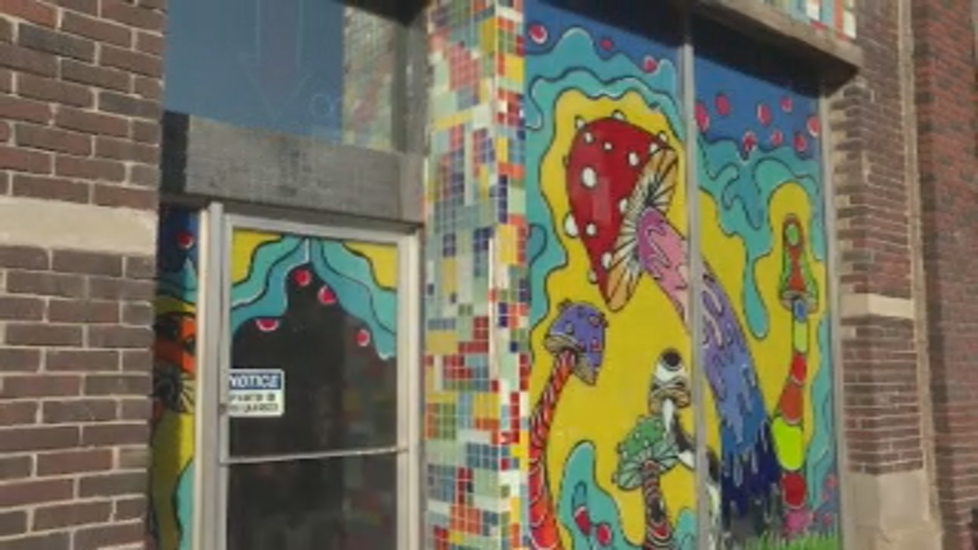 A magic mushroom dispensary that was shut down by police Friday. (Teagan Rasche/Global News).