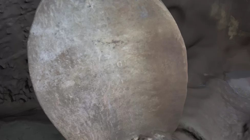 The serial number on a propeller can be made out.