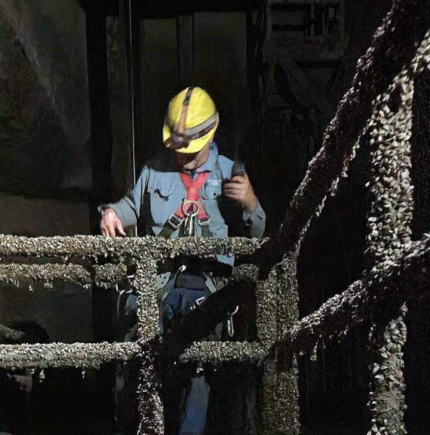 Zebra mussels infestation at a Manitoba Hydro generating station.