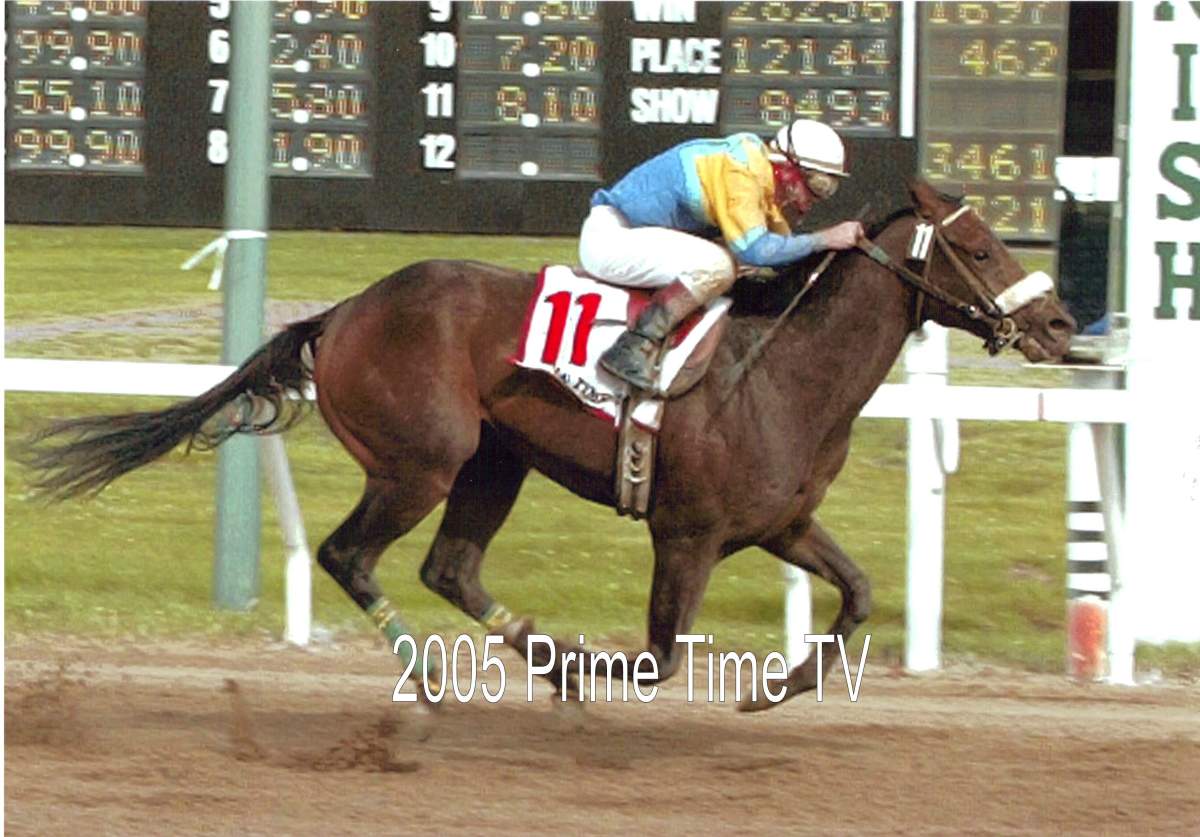 Prime Time TV racing in the 2005 Manitoba Derby.