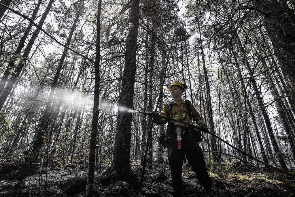 Department of Natural Resources and Renewables firefighter Kalen MacMullin of Sydney, N.S. works on a fire in Shelburne County, N.S. in a Thursday, June 1, 2023 handout photo.