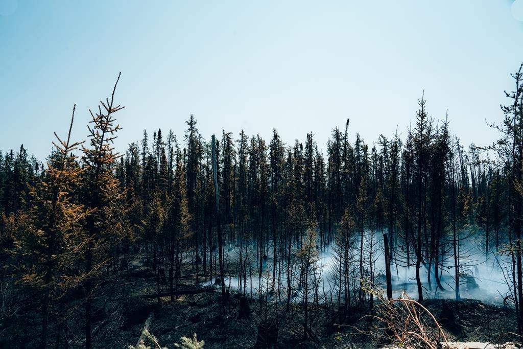 Smoke rises from burning trees near Chapais, in Northern Quebec, on Friday, June 2, 2023, in this image provided by the fire prevention agency known as SOPFEU.