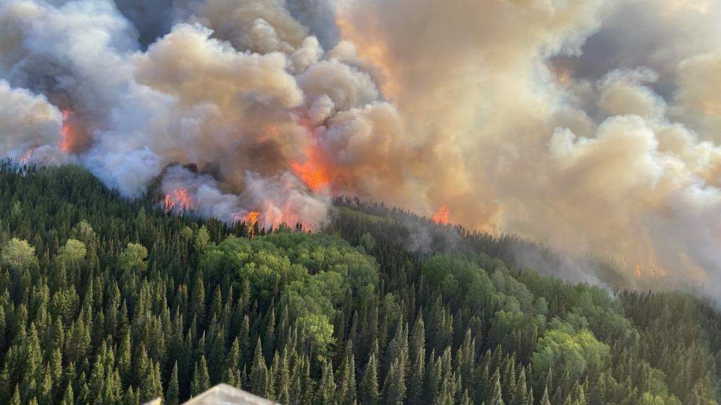 A wildfire burns in a forest near the town of Cochrane, Ont., in a June 6, 2023, handout photo. Wildfire smoke continues to blanket northern parts of Ontario today and Environment Canada is warning the very high levels of air pollution may affect vulnerable people if they don't exercise caution.THE CANADIAN PRESS/HO-Ministry of Natural Resources and Forestry, *MANDATORY CREDIT*.