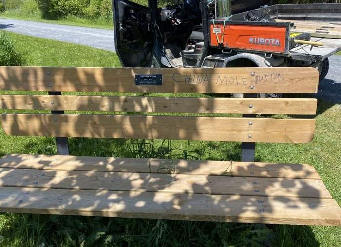 Kingston, Ont. police searching for vandalism suspect - image