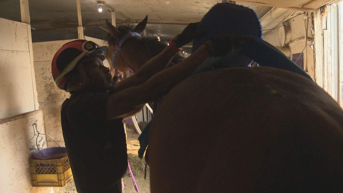 Jockey Antonio Whitehall removes the saddle from one of the racehorses.