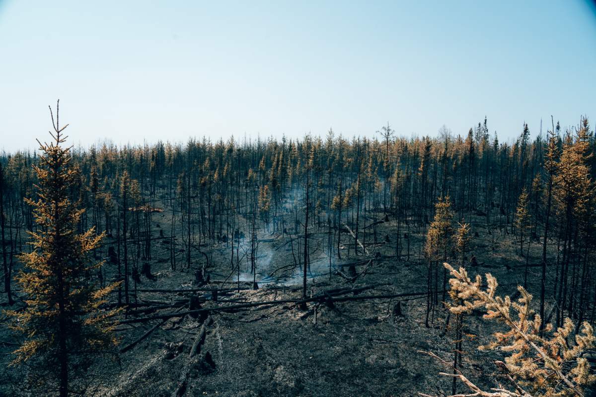 Smoke rises from burning trees near Chapais, in Northern Quebec, on Friday June 2, 2023 in this image provided by the fire prevention agency known as SOPFEU.