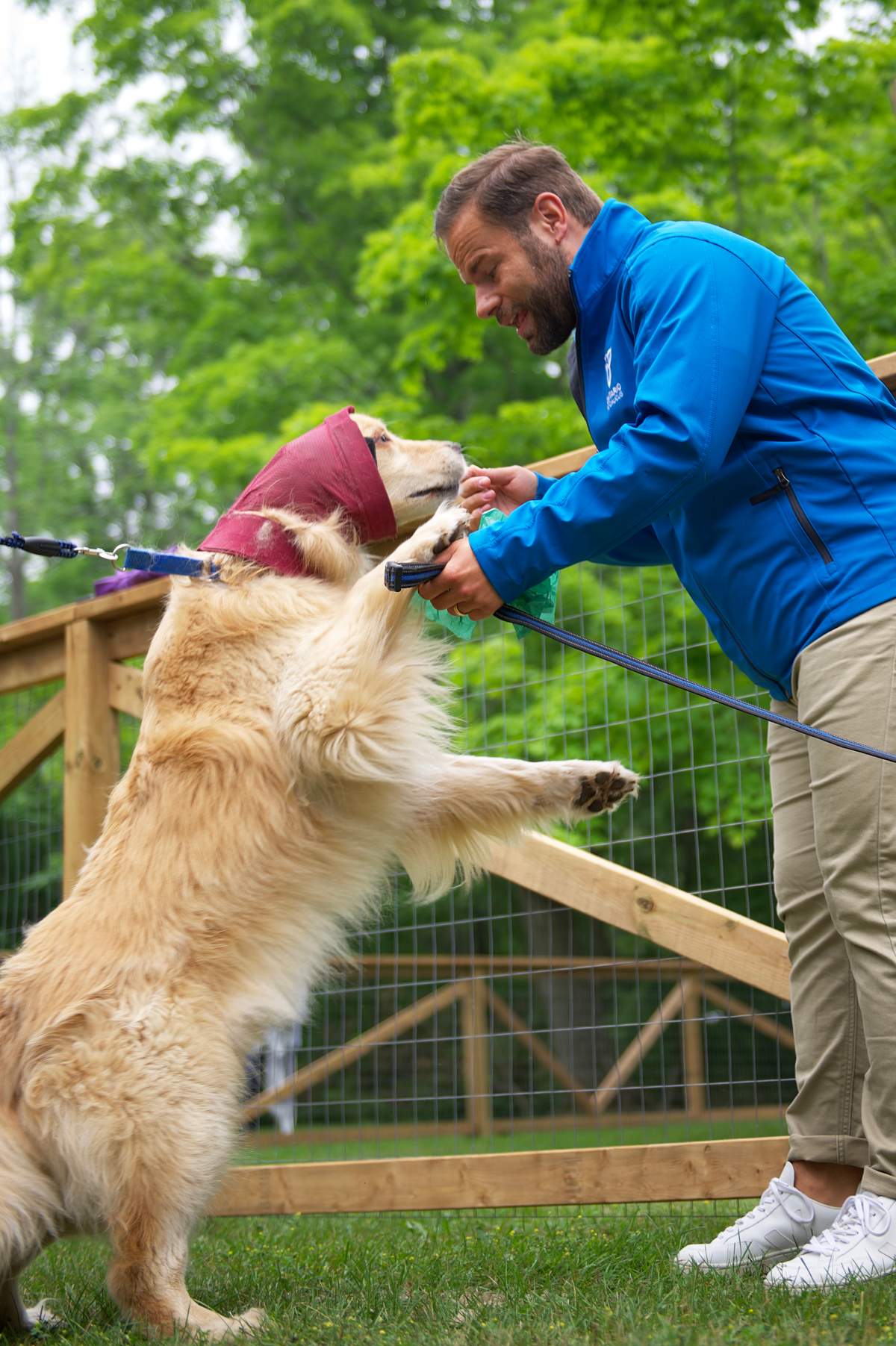 MPP David Piccini greets one of the dogs at the new off-leash dog park at Ferris Provincial Park.