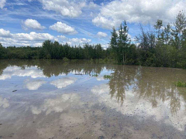 Large pools of water left by heavy rain seen in Whitecourt, Alta., on June 20, 2023.