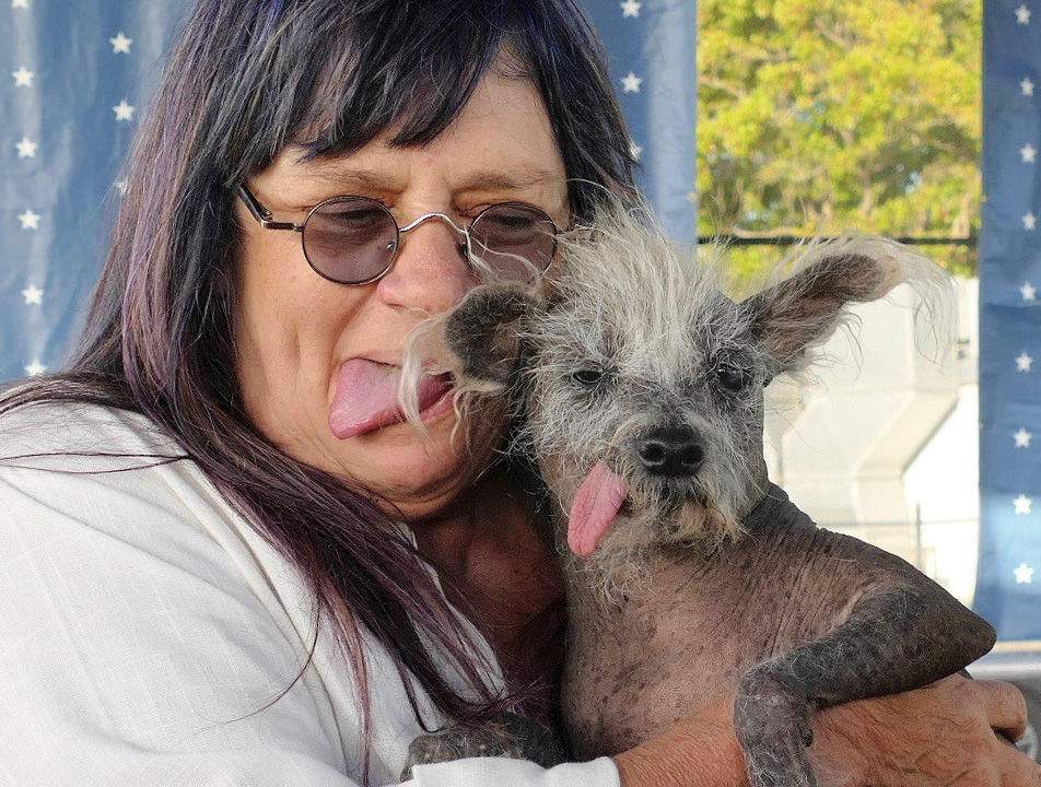 Scooter is held up by his owner. Both are sticking out their tongues.