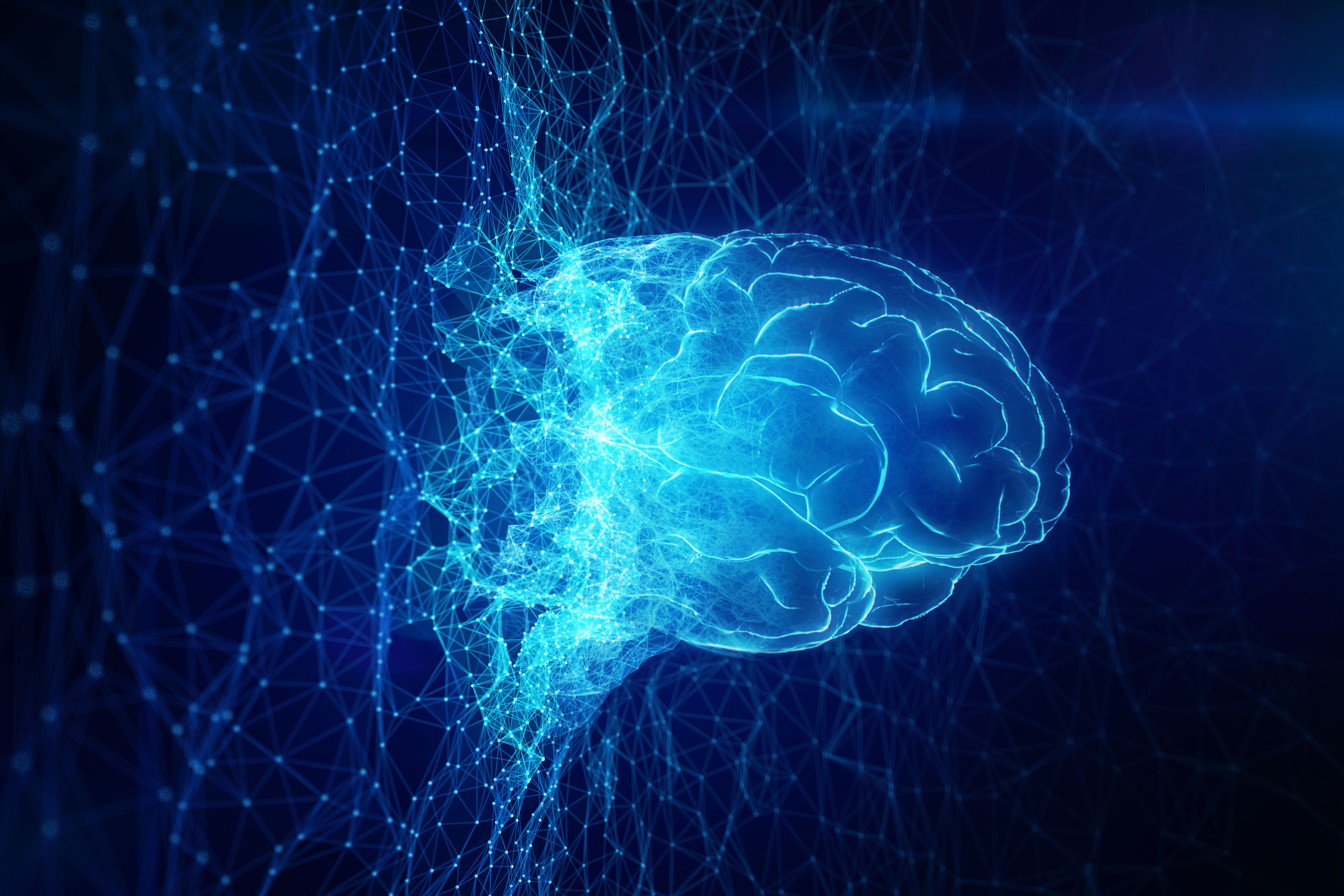 An abstract photo of a brain, computerized