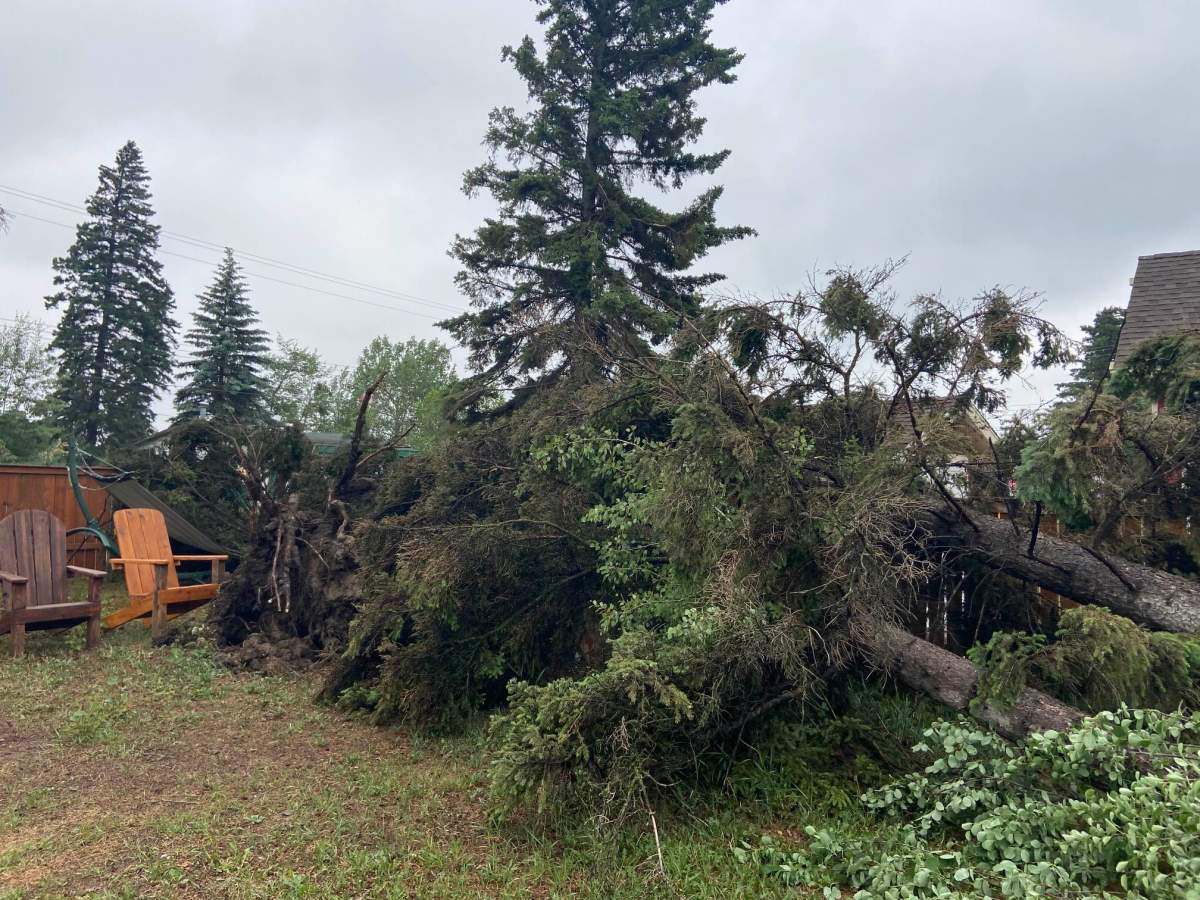 Storm damage in Ma-Me-O Beach on Pigeon Lake in central Alberta on Wednesday, June 14, 2023.