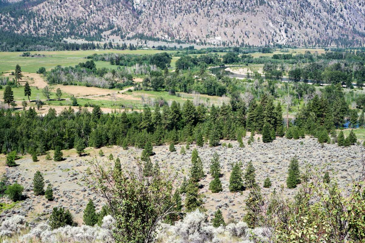 Another view of the Nighthawk Hill Grasslands in B.C.’s Southern Interior.