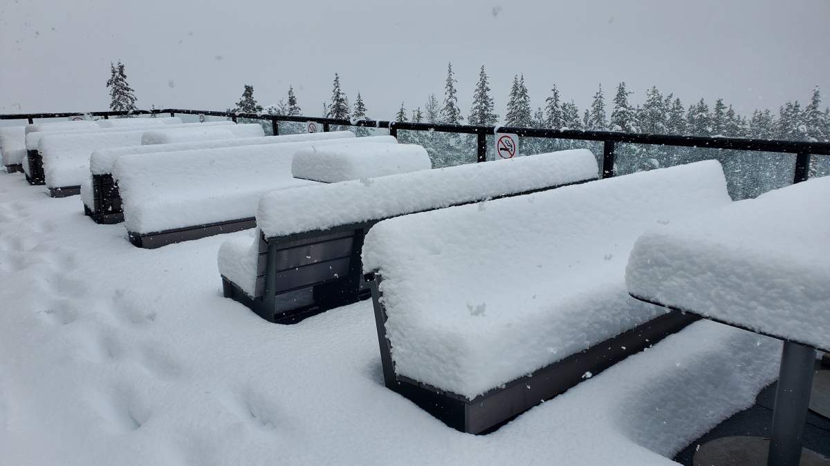Snow at Marmot Basin Ski Resort on Monday, June 19, 2023.