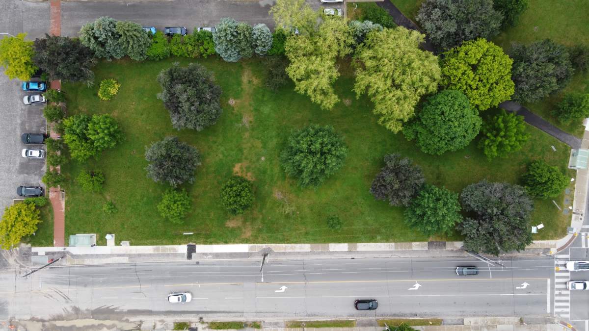 Councillor Cheng said the green space is not designated as parkland, but the seniors depend on it access to greenery.