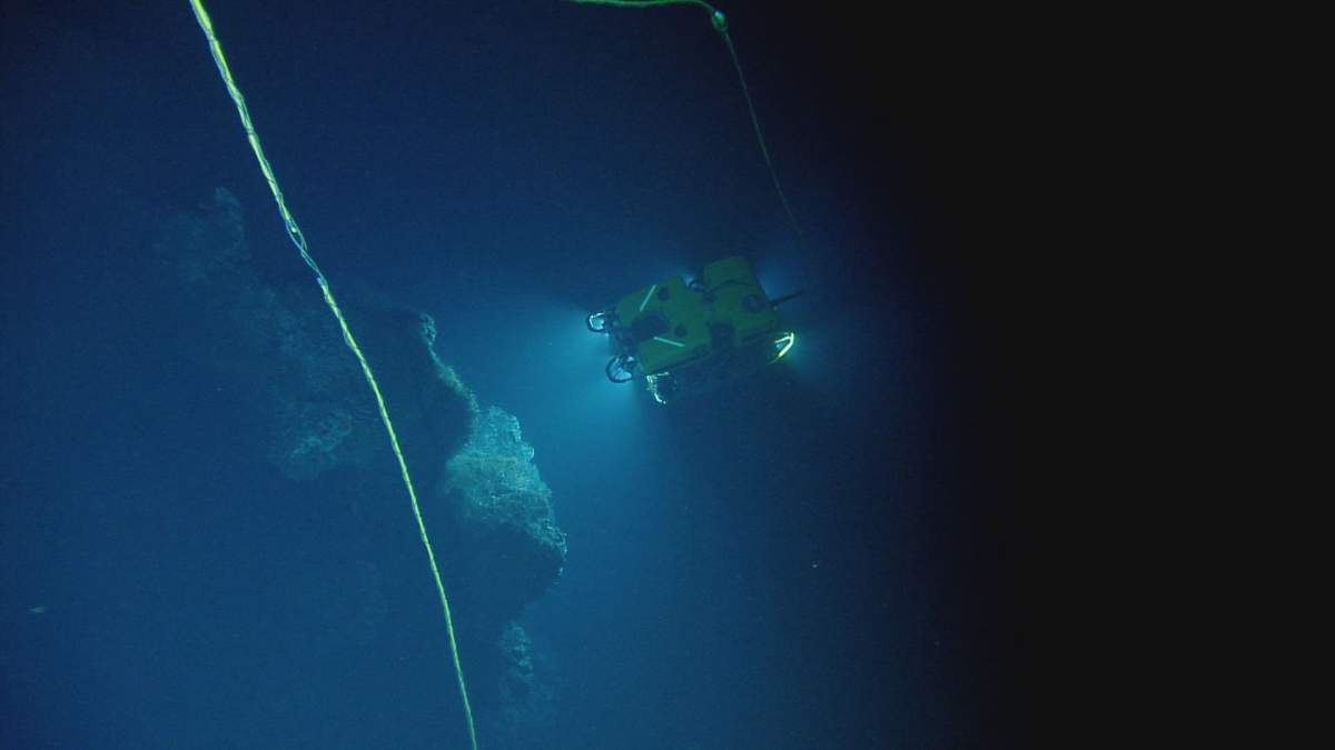 An ROV in action on the floor of the Pacific Ocean.