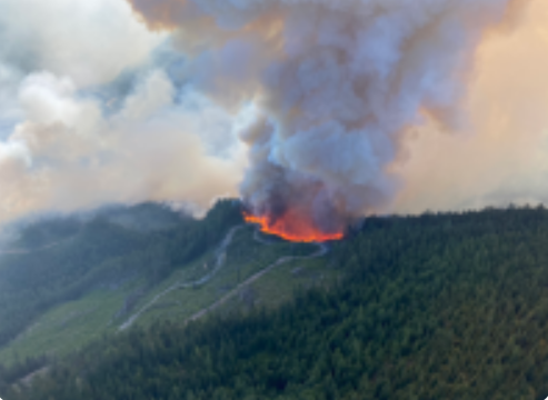 Harrison Wildfire